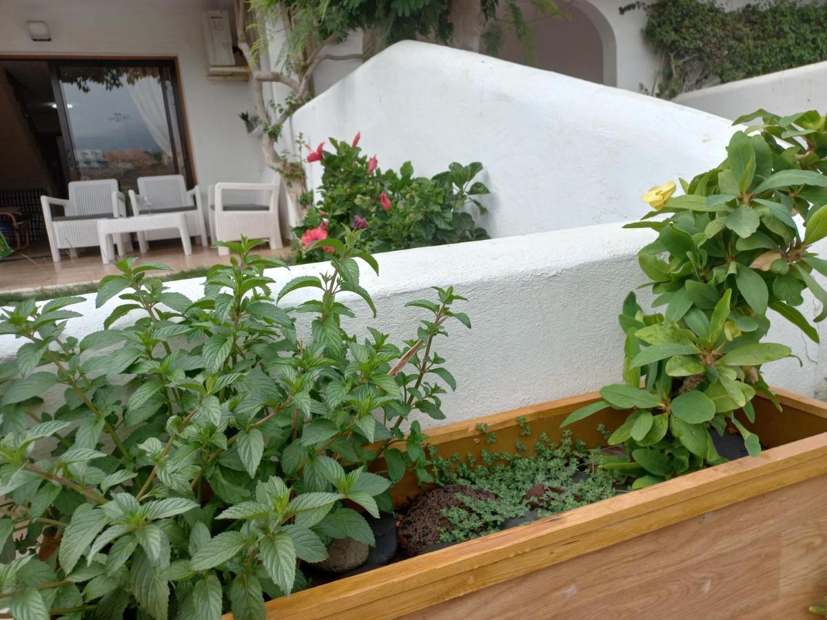 Fairways Club, Duplex B22 Διαμέρισμα Σαν Μιγκέλ ντε Αμπόνα Εξωτερικό φωτογραφία